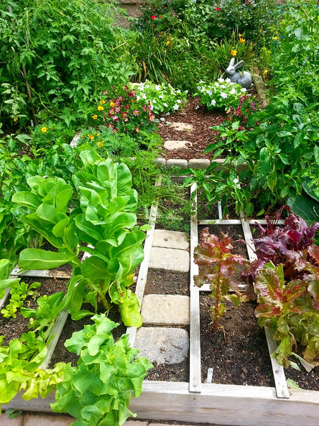 Rocketts Landing Community Garden, Richmond Virginia