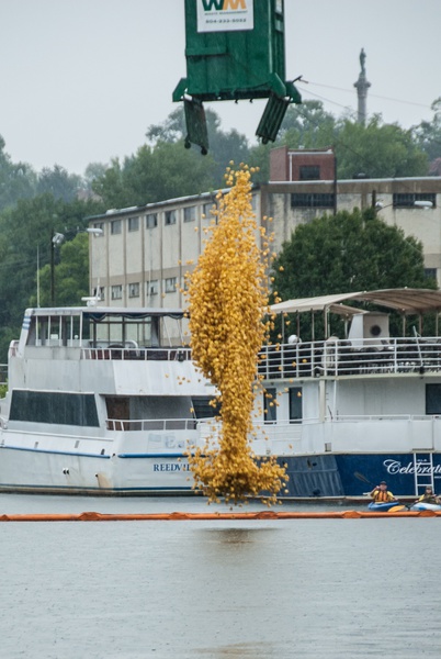 Rocketts Landing, Richmond VA, Duck Race, Big Brothers Big Sisters Duck Race