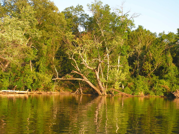 James River, Rocketts Landing, Richmond Virginia