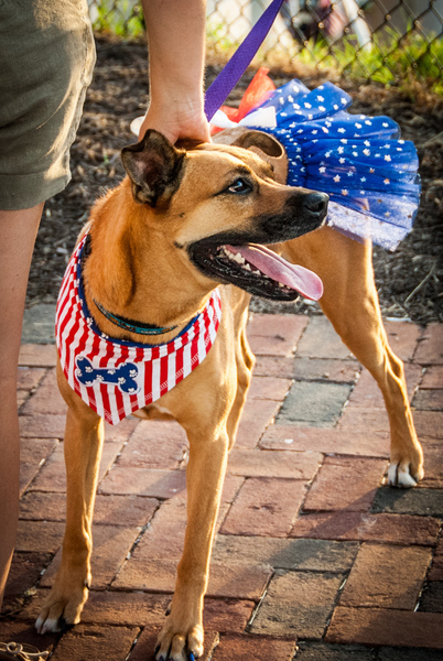 2012 Rocketts Red Glare, Rocketts Landing, Richmond Virginia